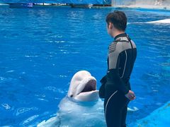 -海合安成都极地海洋公园