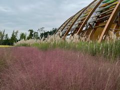 -中国天府农业博览园