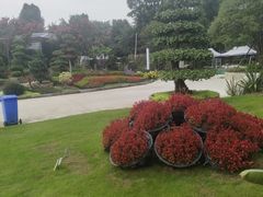-温江公园