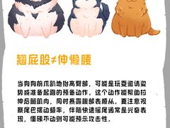 -瑞派·关忠动物医院(国瑞店)