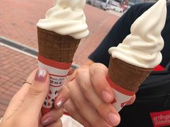 -富豪雪糕车流动点(尖沙咀店)