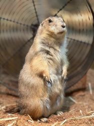 -Zoolung Zoolung动物主题公园(海信广场店)