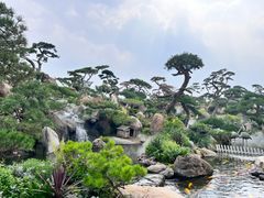 -罗红摄影艺术馆