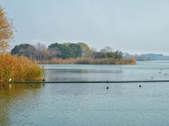 -贡湖湾湿地公园