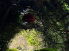 -海上田园