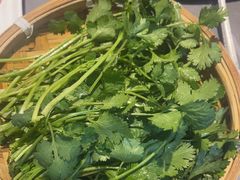 -生活如沸·顺德水牛奶火锅(大学路店)