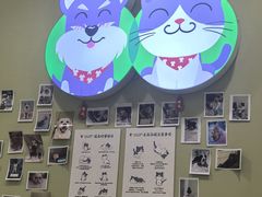 -悦宠动物医院(京丰分院)