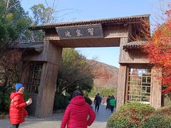 -习家池