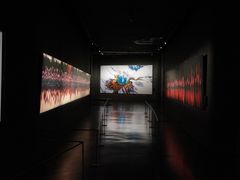 -罗红摄影艺术馆