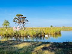 -黑龙江扎龙生态旅游区