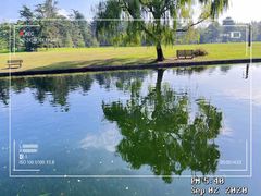 -上海共青森林公园