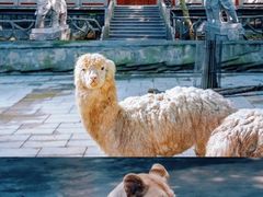-李东农庄(中南百草园地标店)
