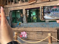 -南宫五洲植物乐园