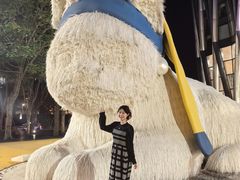 -深圳湾万象城(南山店)