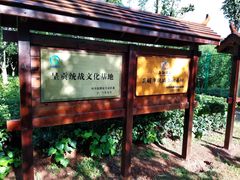 -洛龙公园