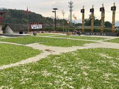 -大本营竹筒饭