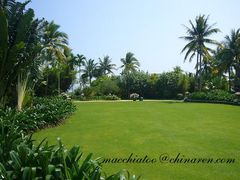 untitled4-三亚亚龙湾红树林度假酒店