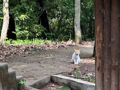 -WeLope紫金山探险公园
