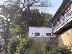 -月湖风景区