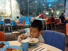 -帝企鹅自助餐厅•儿童岛•真企鹅(长隆企鹅酒店)