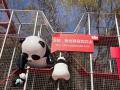-红山体育乐园