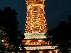 -塔子山公园