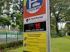 -文东记(马里士他店)