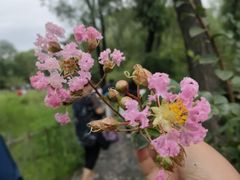 -常家庄园