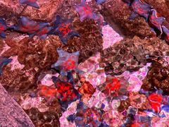 -沈阳海洋探索中心