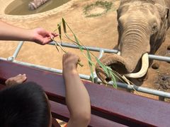 -西霞口神雕山野生动物世界