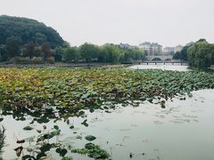 -石湖景区