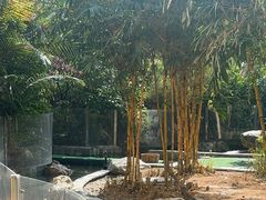 -熊猫自助餐厅.萌趣城堡(长隆熊猫酒店)