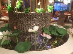 -顺意·顺德家乡菜(国际人才大厦店)