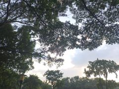 -东莞植物园