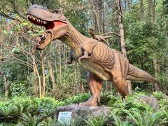 -森波拉火山温泉