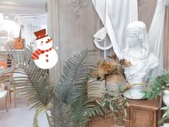 -共舞时光猫咖·狗咖(新街口店)
