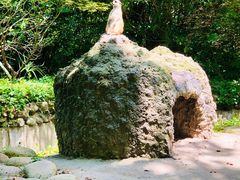 -上海野生动物园