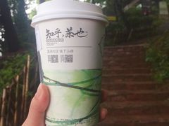 -茶颜悦色(岳麓山顶店)