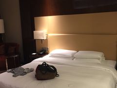 -济南富力凯悦酒店