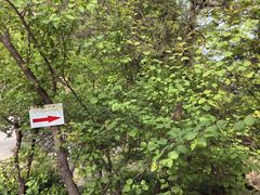 -北京鹫峰国家森林公园