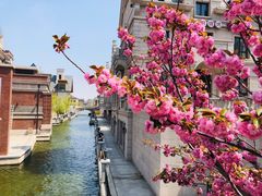 -东港音乐喷泉广场