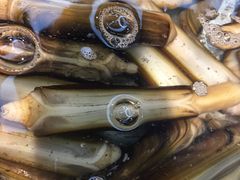 -神农美特好生鲜超市(康宁街店)