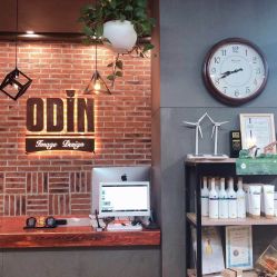 -ODIN 奥丁形象设计 