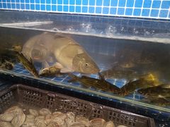 -芭菲盛宴·环球美食(锦城万达广场店)