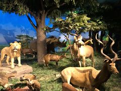 -国家自然博物馆