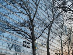 -中国人民解放军总医院