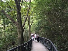 -龙湾潭国家森林公园