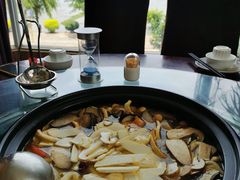 -野菌皇海景野生菌火锅(滨海大道店)