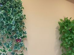 -嘉和一品粥(魏公村店)