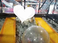 -嗨翻Hi-Fun竞技主题乐园·蹦床亲子生日轰趴(国光1937店)